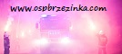 OSP Brzeźinka